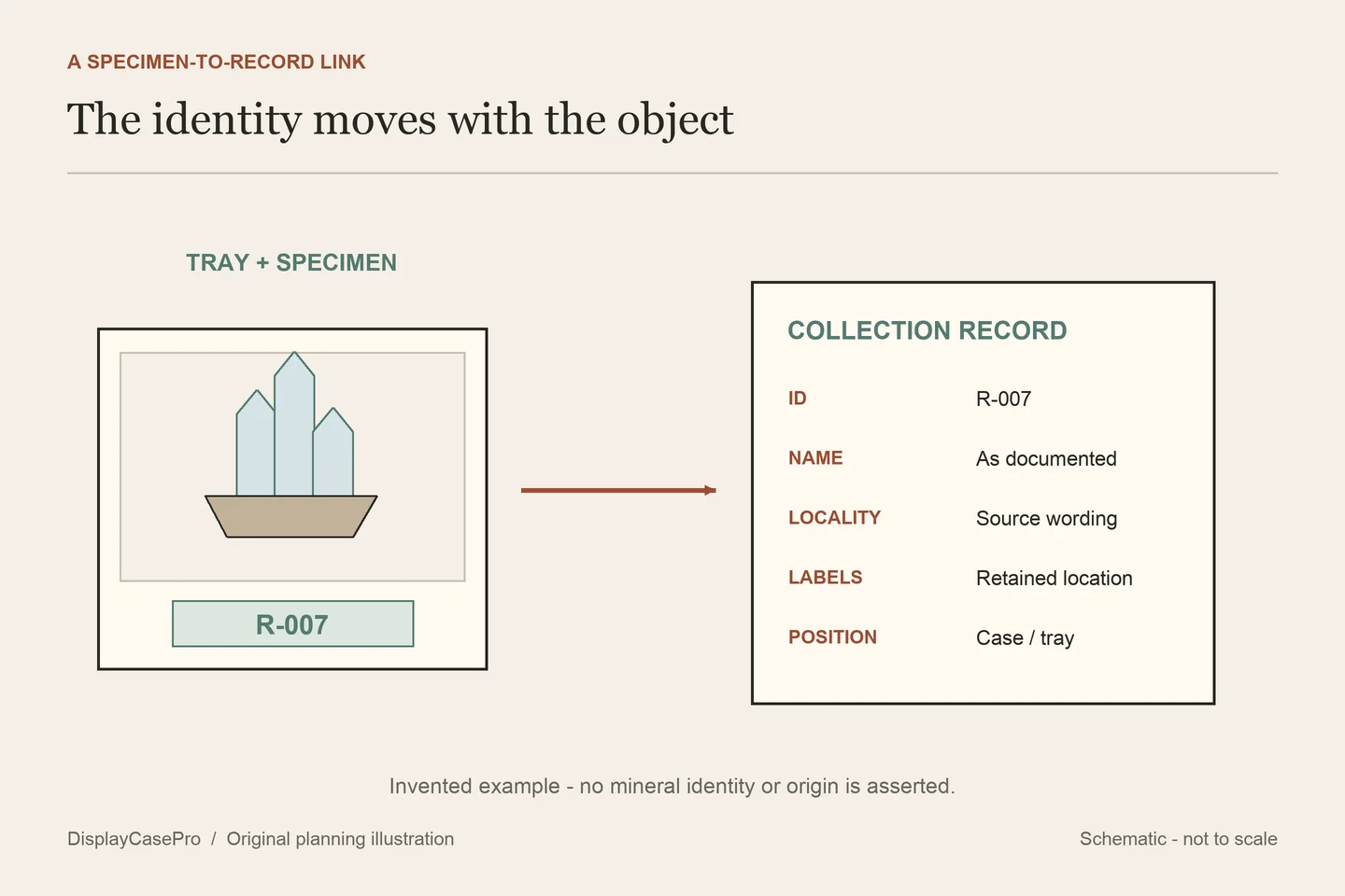 Original diagram linking an individual specimen tray, its collection number and a separate collection record