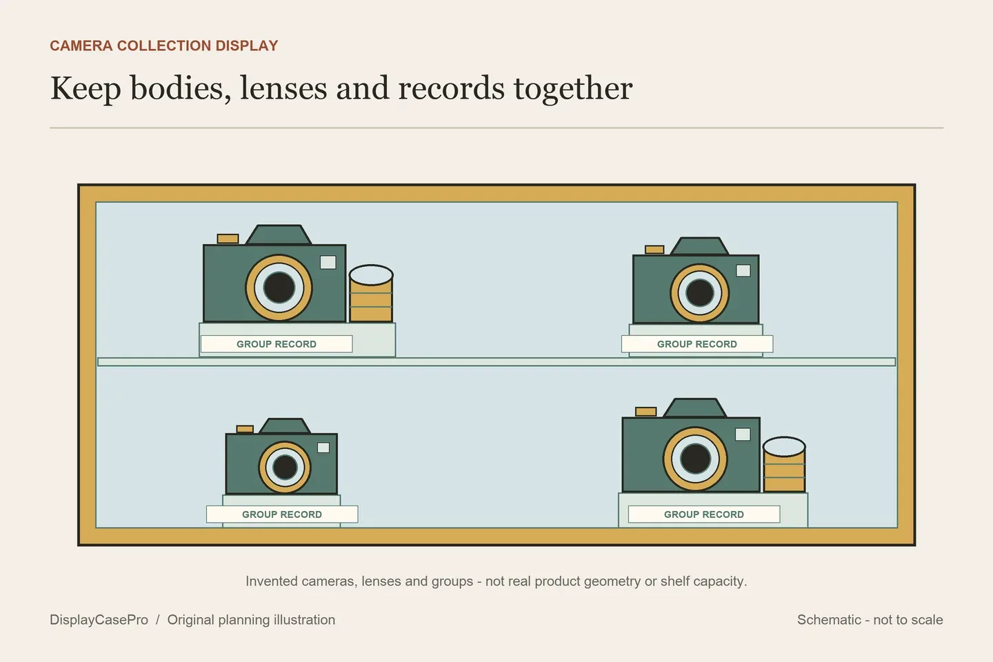Camera Display Cases: Bodies, Lenses and Collection Layouts