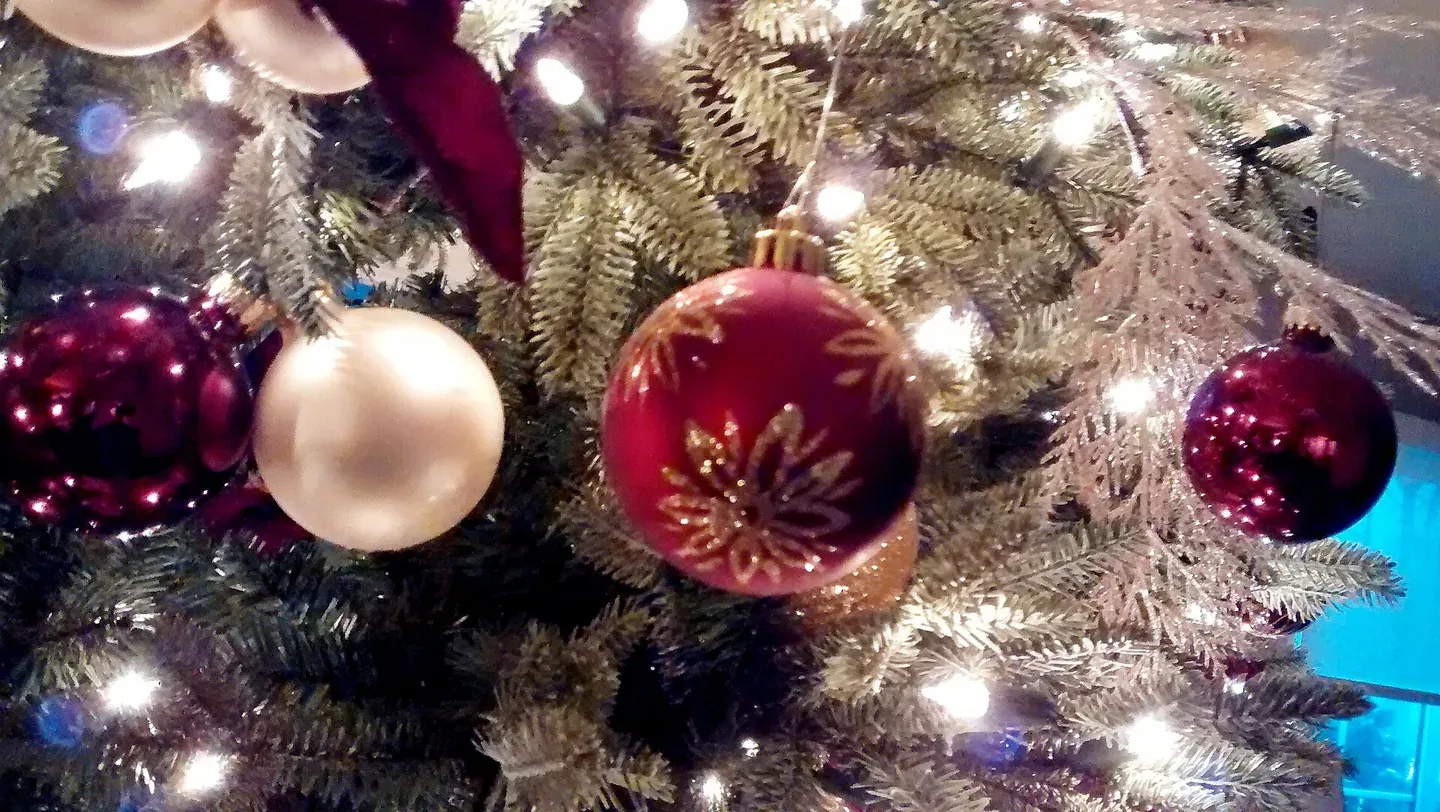 Ornament Display Cases: Hanging Fixtures, Covers and Gift Boxes