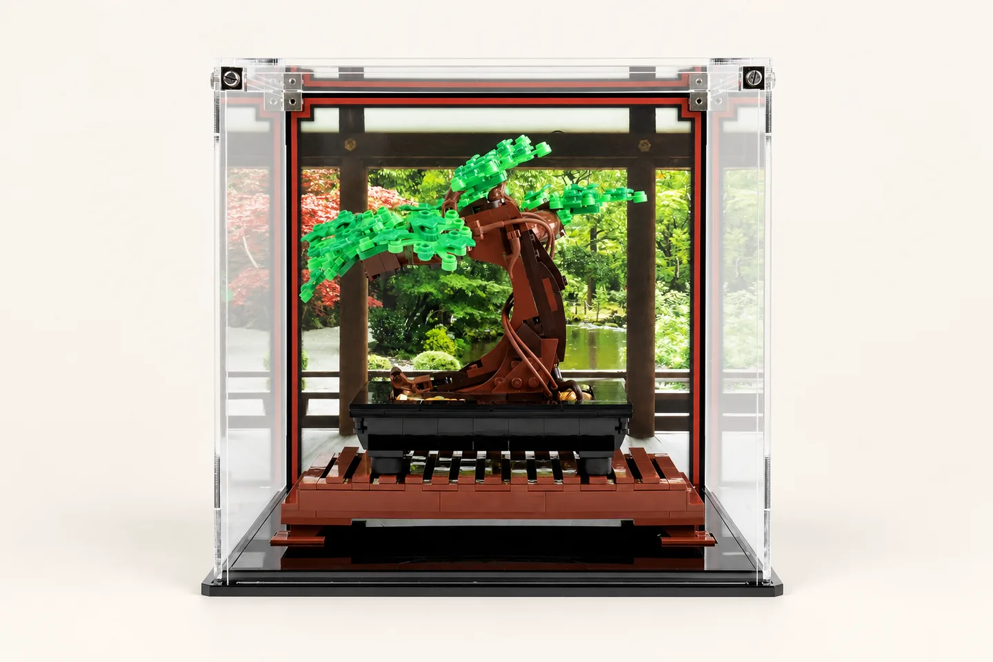 Display Case, Frame or Cabinet: Which Should You Choose?